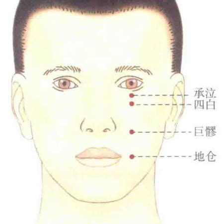 地倉穴位置|醫砭 » 經穴庫 » 地倉